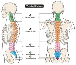 Ubicación del dolor lumbar