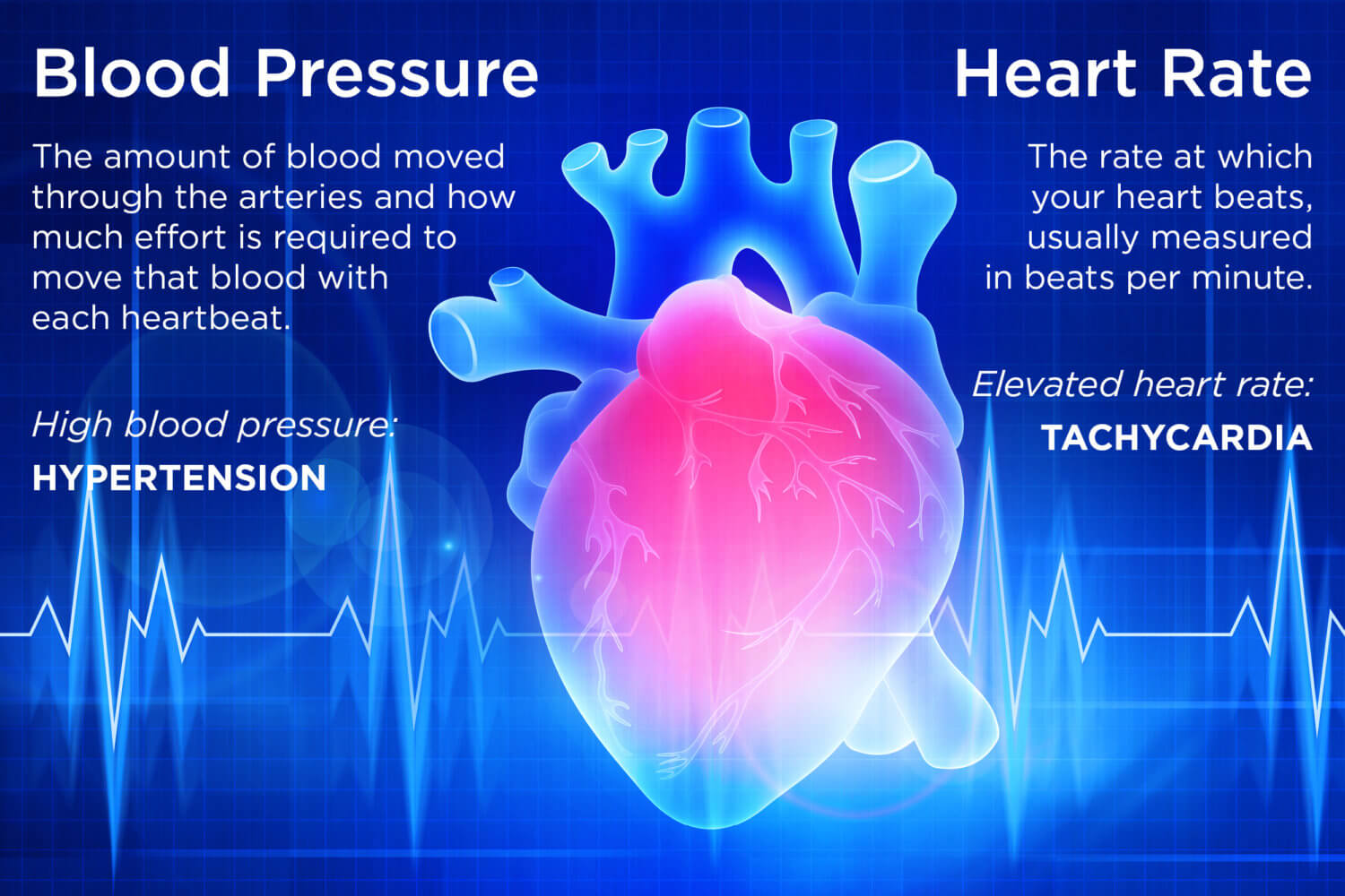 Descripciones de la presión arterial y la frecuencia cardíaca sobre una colorida imagen de rayos X de un corazón con líneas de ECG detrás